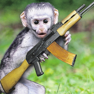 Sniper-monkey.jpg