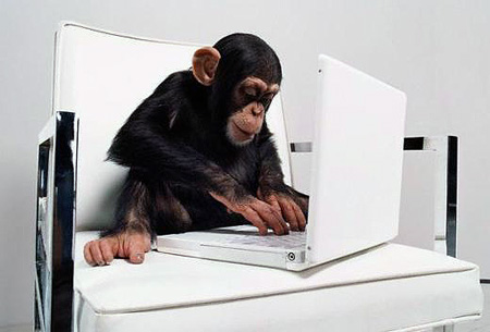 Computer-monkey.jpg