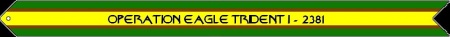 Streamer Eagle Trident 1 2381.JPG