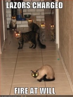 LOLcats Lasers.jpg