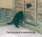 LOLcats Wormhole.jpg