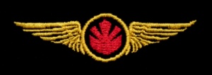 Maquis Wings - Embroidery.jpg