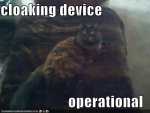 LOLcats Cloaking device.jpg