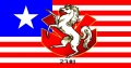 Alamo Flag 2381.jpg