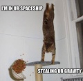 LOLcats Gravity.jpg