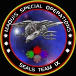 SEALS Team IX