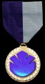 Soc medal.jpg